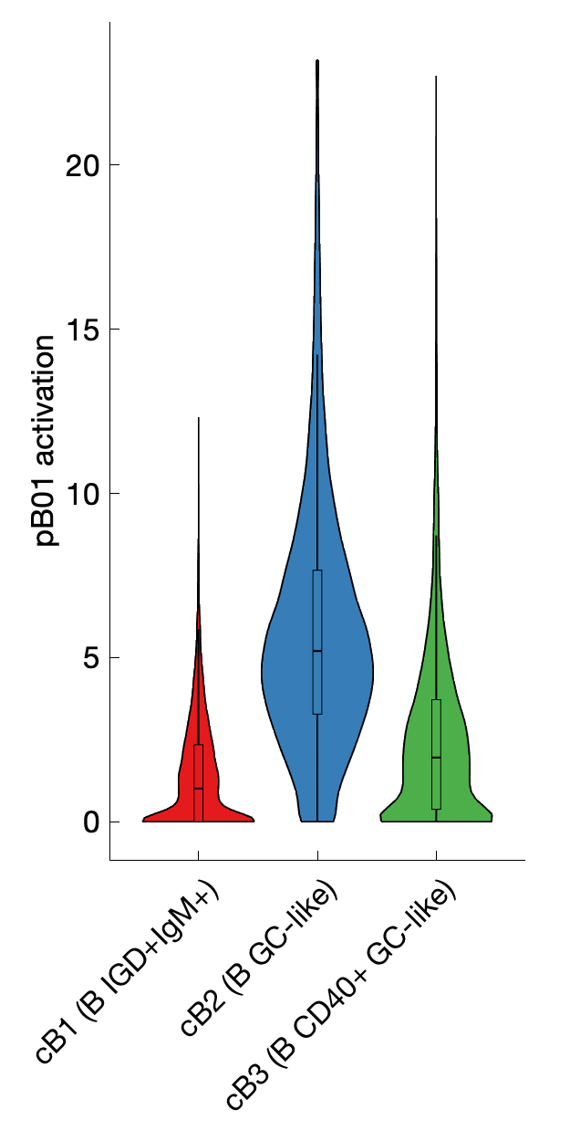 Gene program activation of pB01 by different cell subtypes