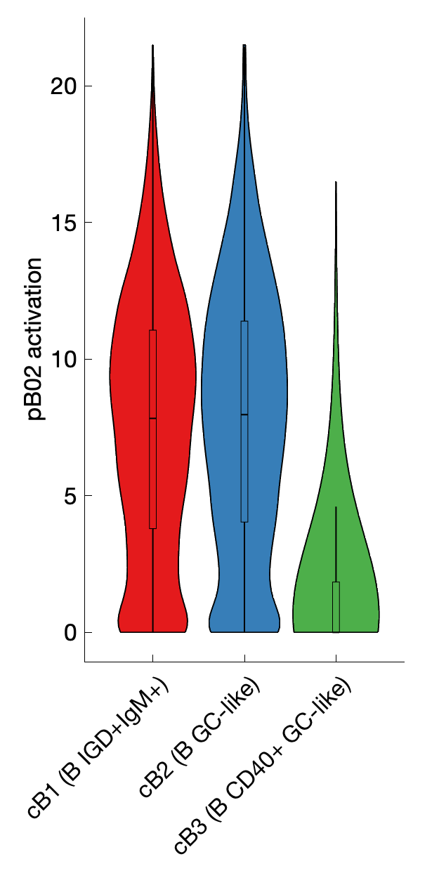 Gene program activation of pB02 by different cell subtypes