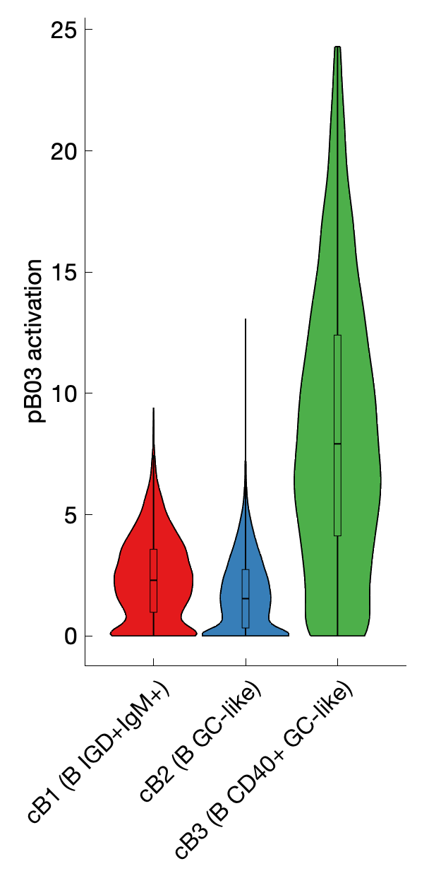 Gene program activation of pB03 by different cell subtypes