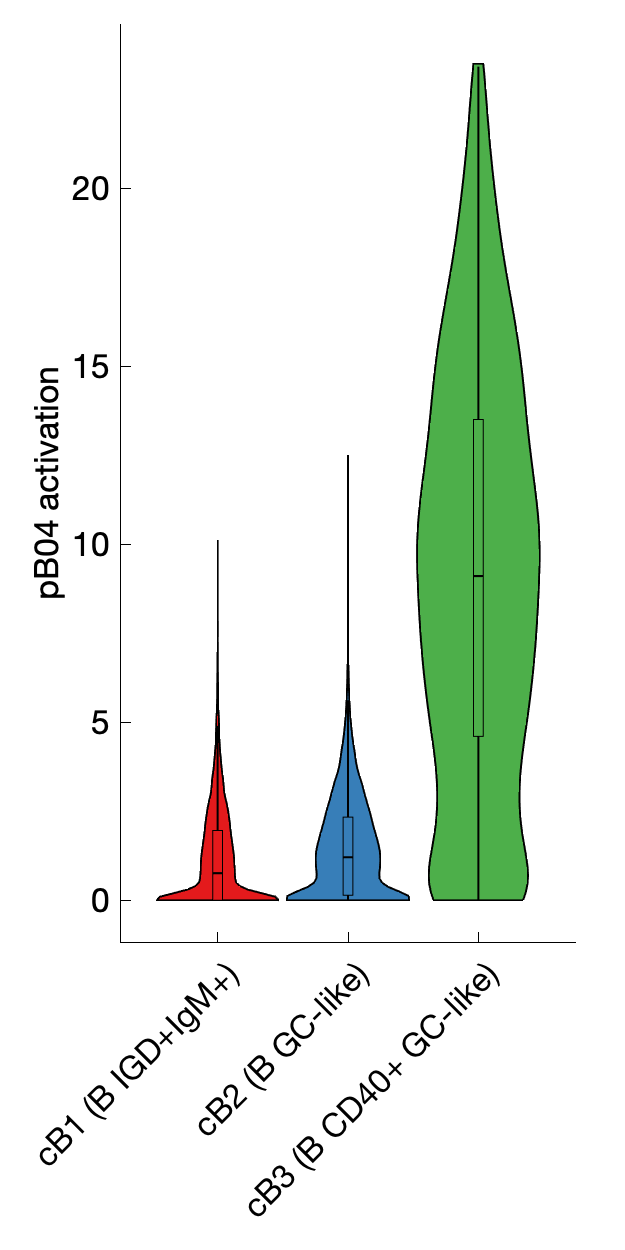 Gene program activation of pB04 by different cell subtypes