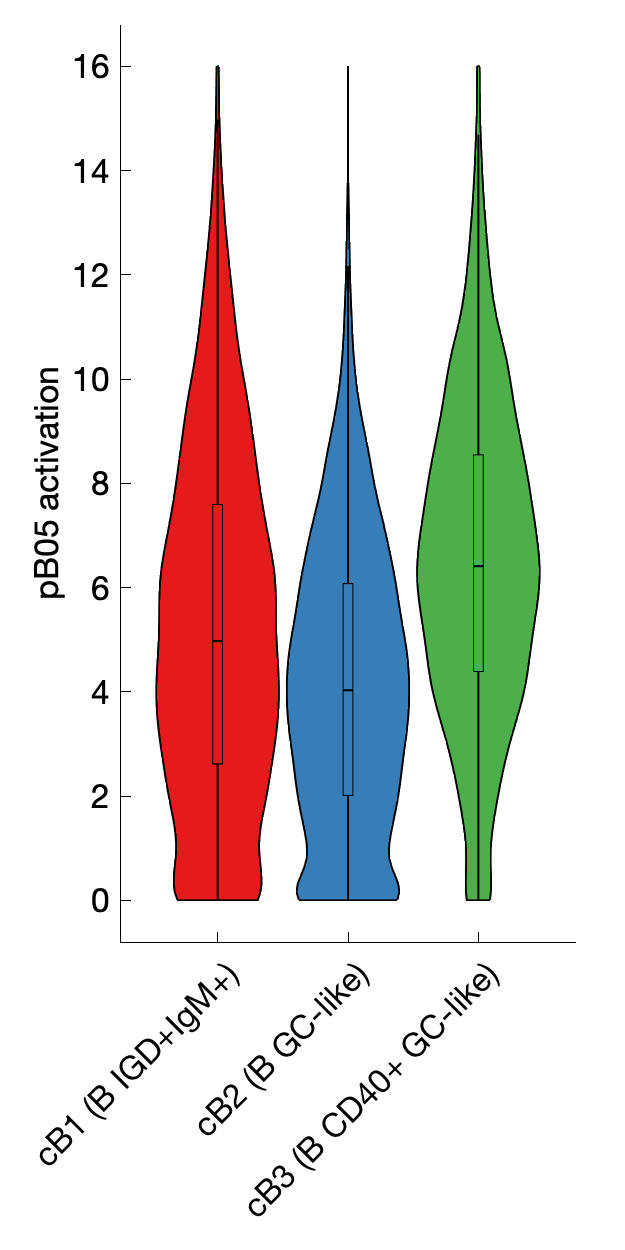 Gene program activation of pB05 by different cell subtypes