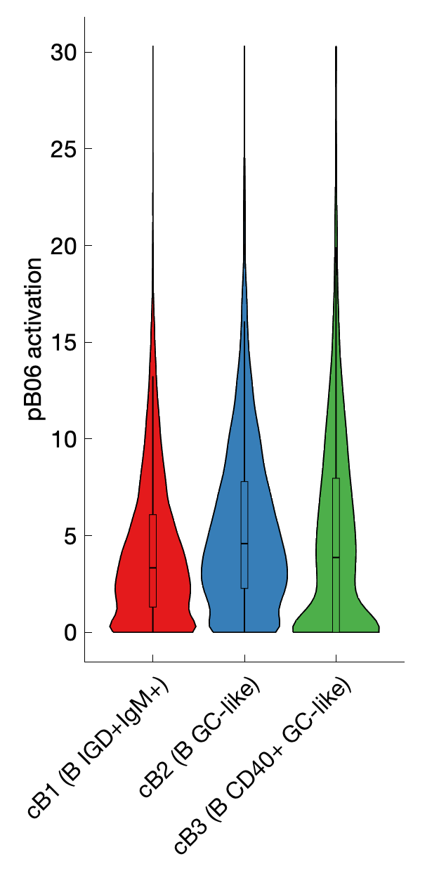 Gene program activation of pB06 by different cell subtypes