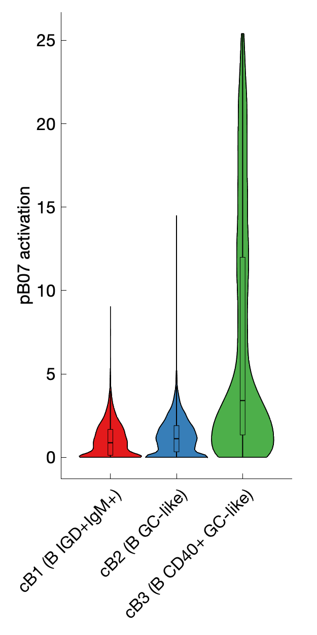 Gene program activation of pB07 by different cell subtypes