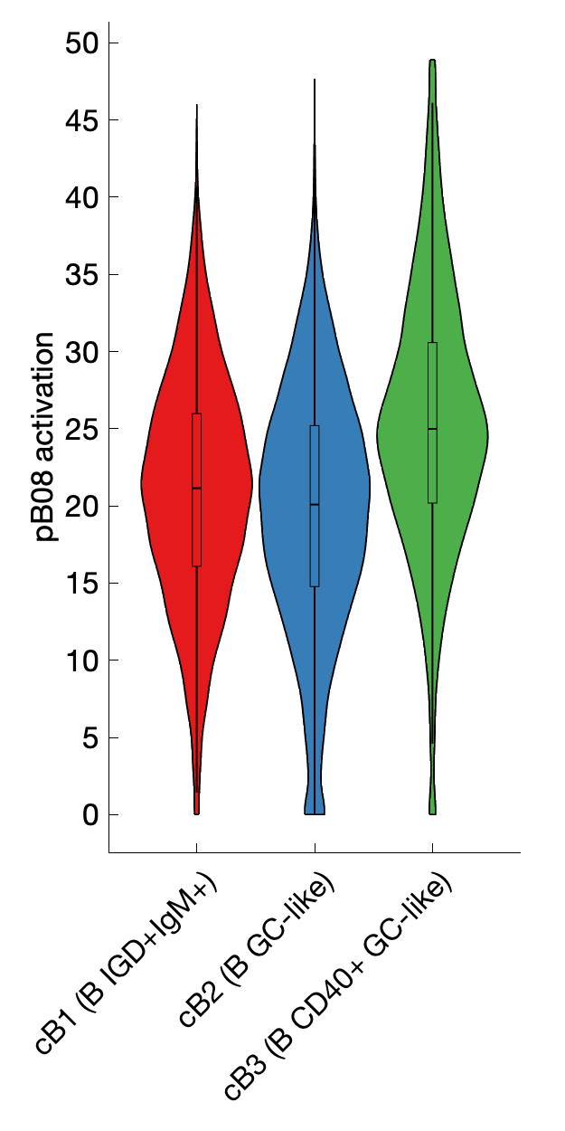 Gene program activation of pB08 by different cell subtypes