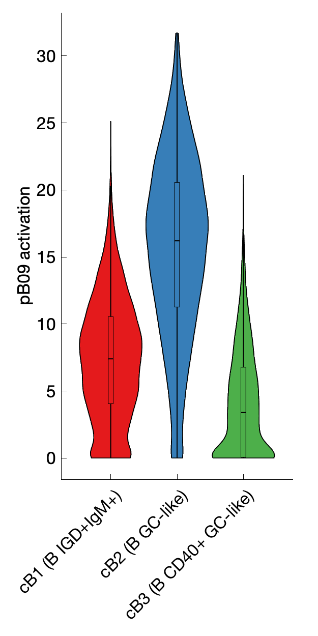 Gene program activation of pB09 by different cell subtypes