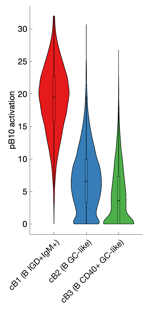 Gene program activation of pB10 by different cell subtypes