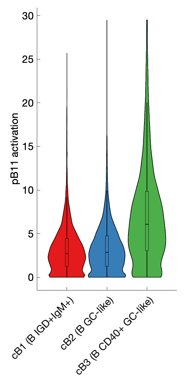 Gene program activation of pB11 by different cell subtypes