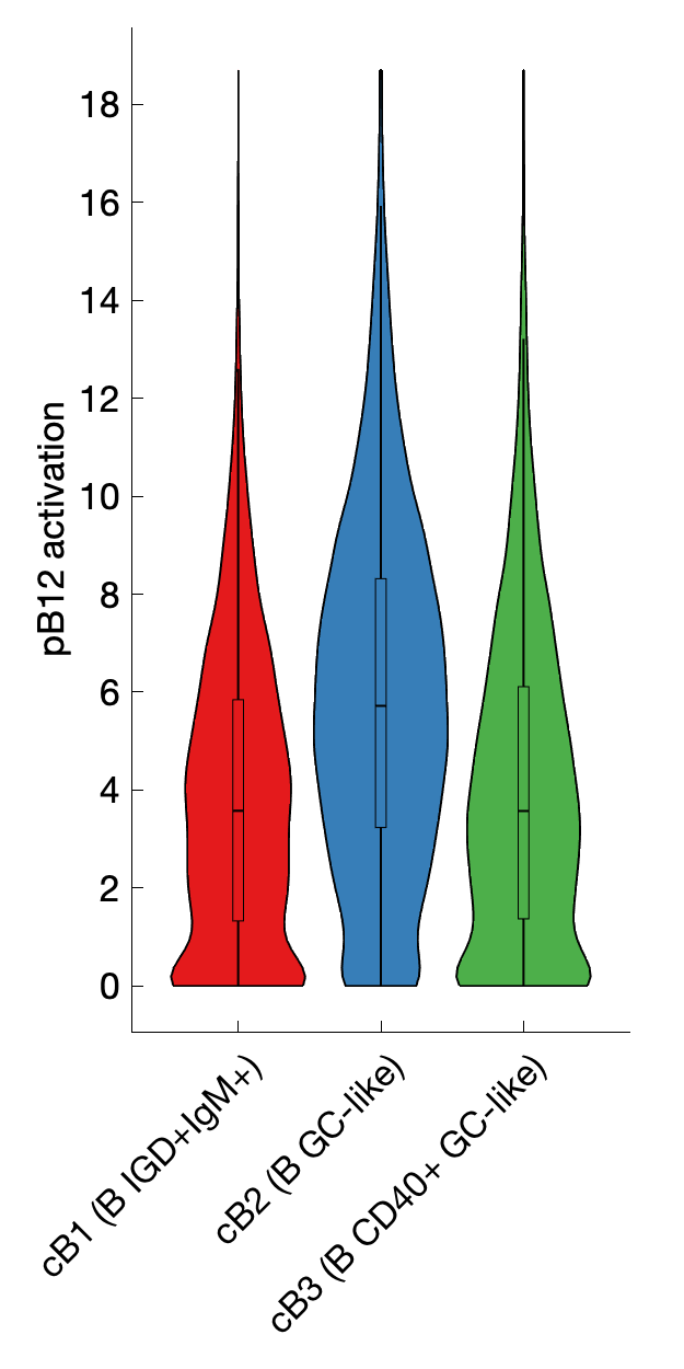 Gene program activation of pB12 by different cell subtypes