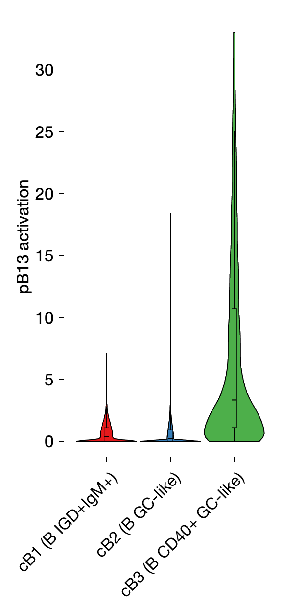 Gene program activation of pB13 by different cell subtypes