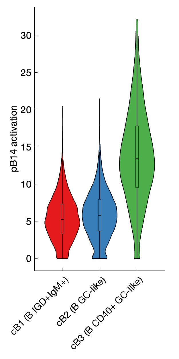 Gene program activation of pB14 by different cell subtypes