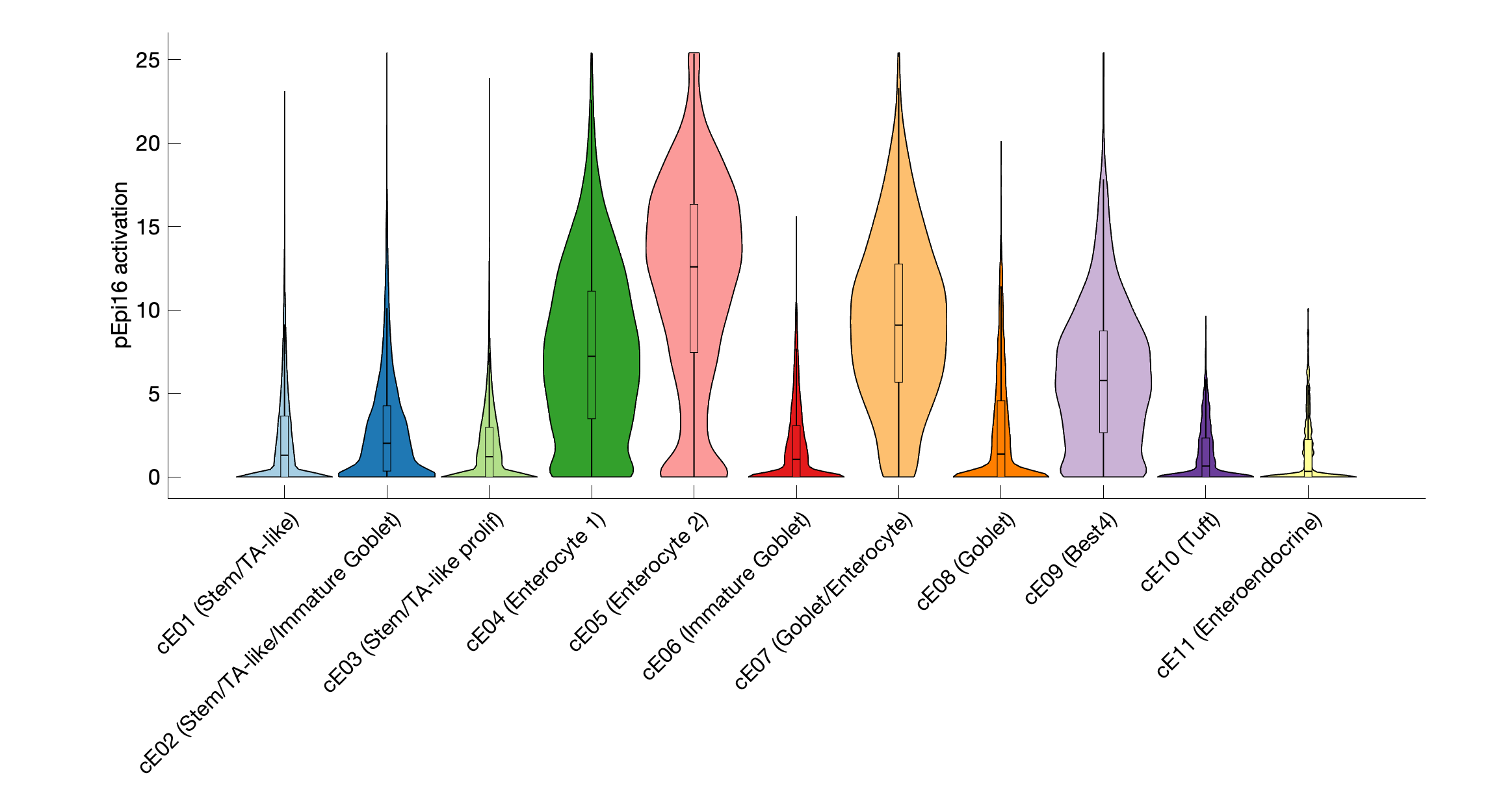 Gene program activation of pEpi16 by different cell subtypes