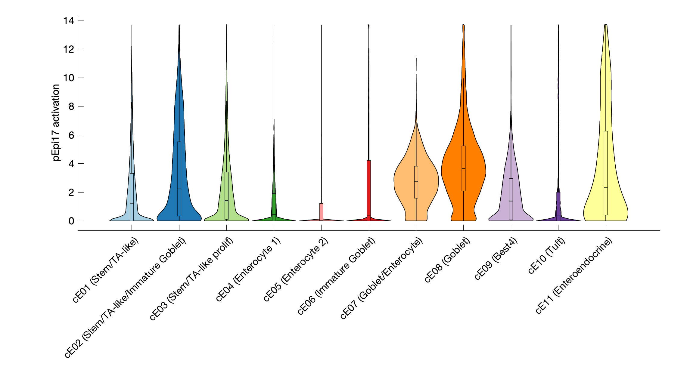 Gene program activation of pEpi17 by different cell subtypes