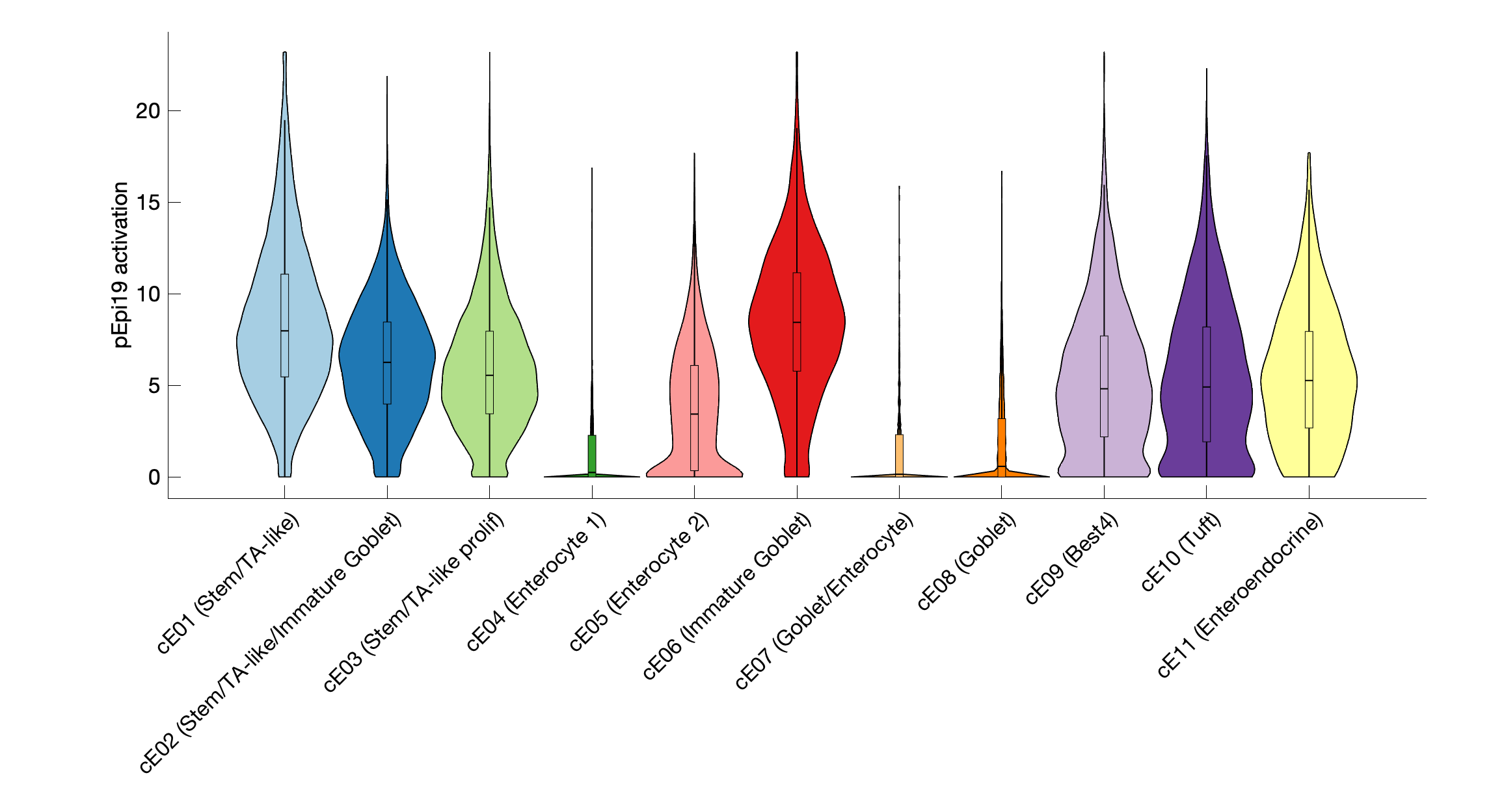 Gene program activation of pEpi19 by different cell subtypes