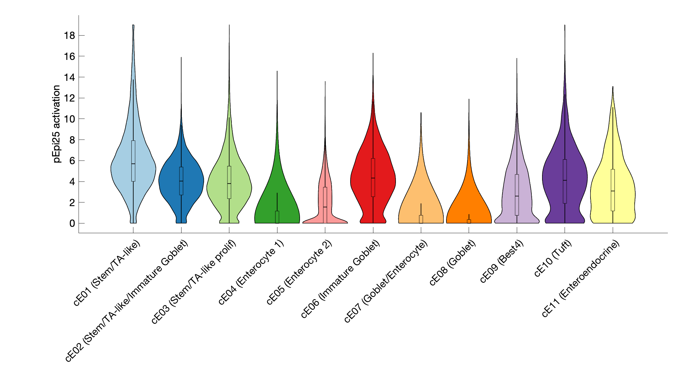 Gene program activation of pEpi25 by different cell subtypes