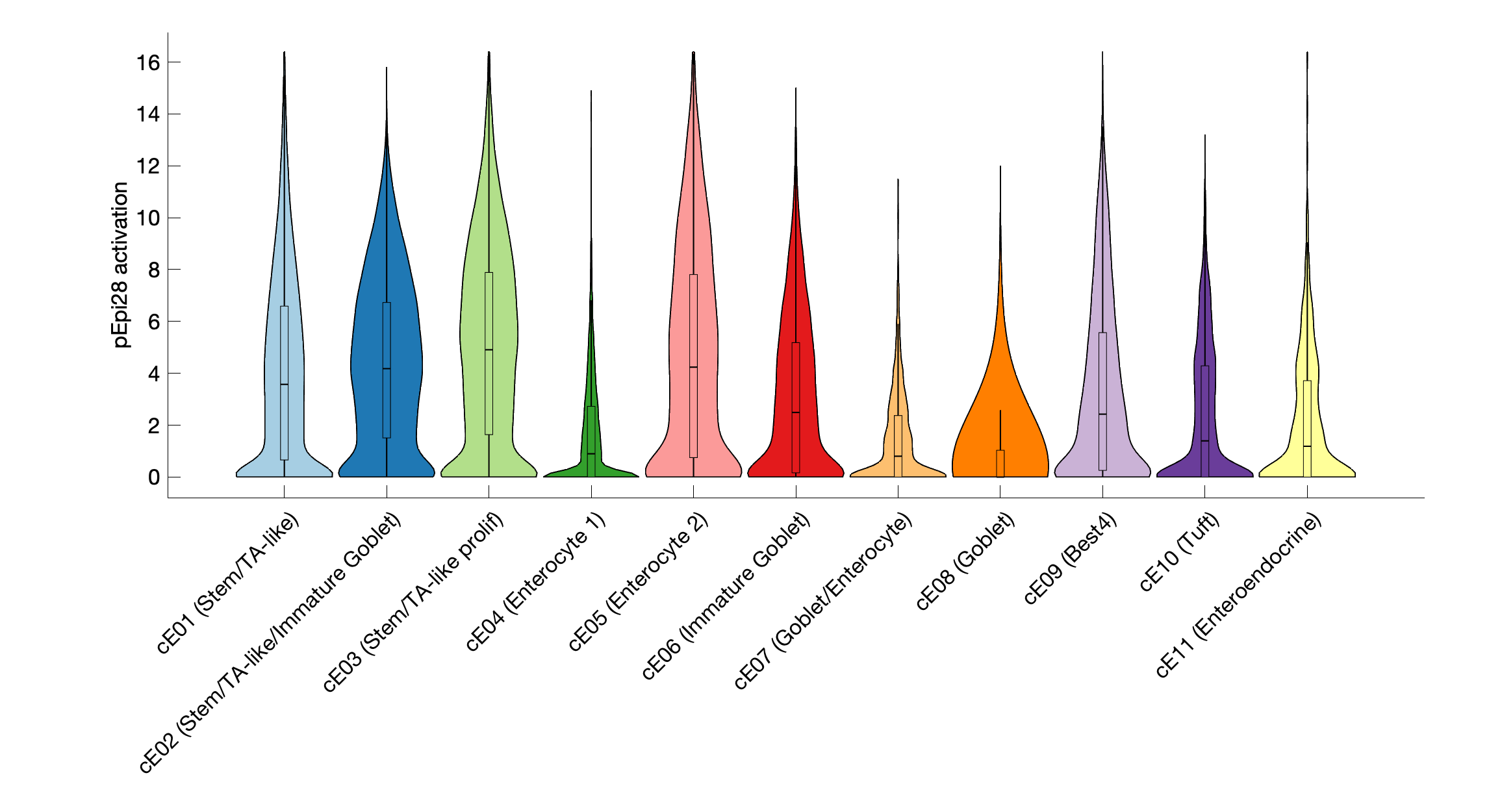 Gene program activation of pEpi28 by different cell subtypes