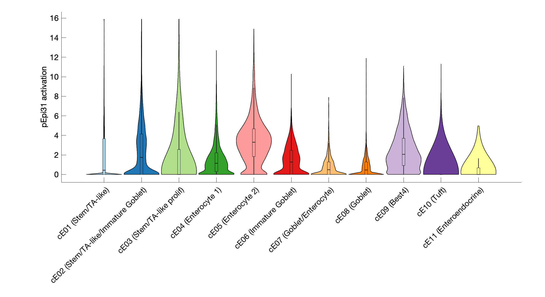 Gene program activation of pEpi31 by different cell subtypes