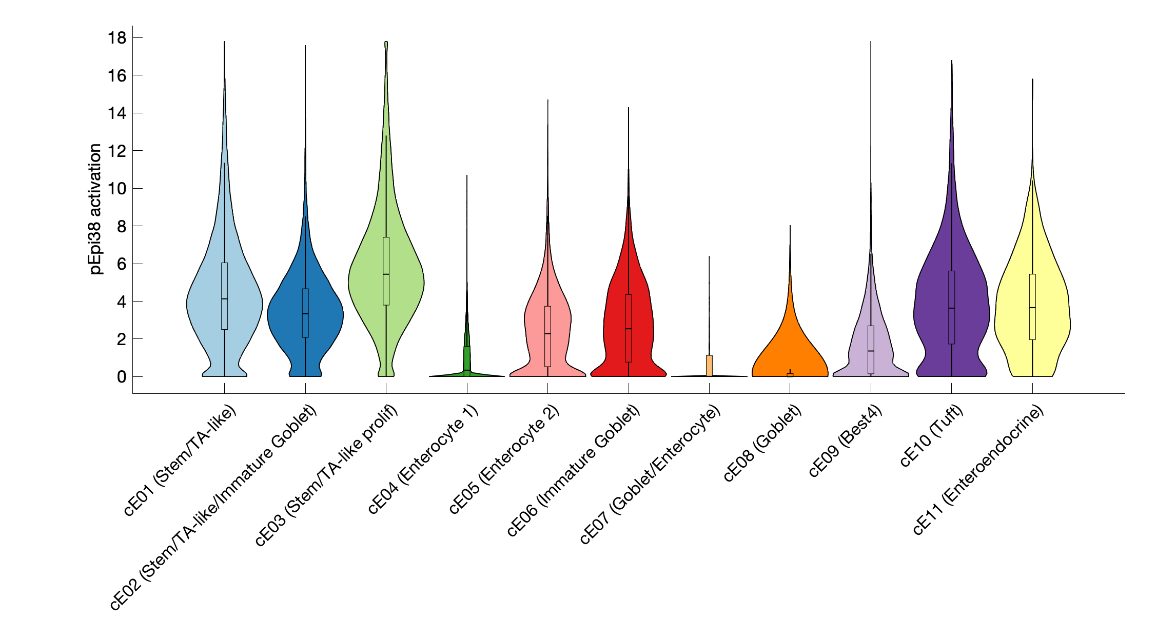 Gene program activation of pEpi38 by different cell subtypes