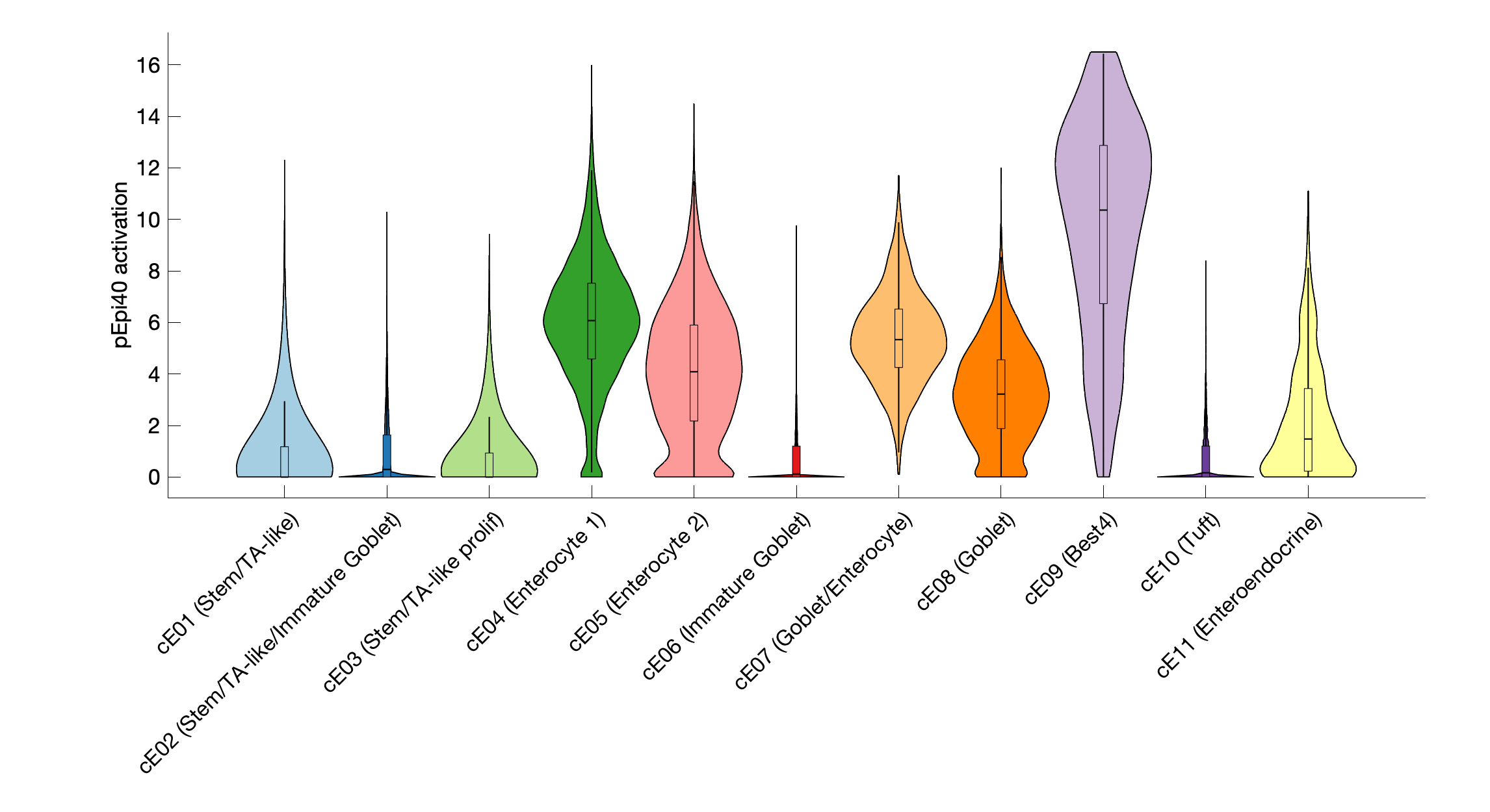 Gene program activation of pEpi40 by different cell subtypes