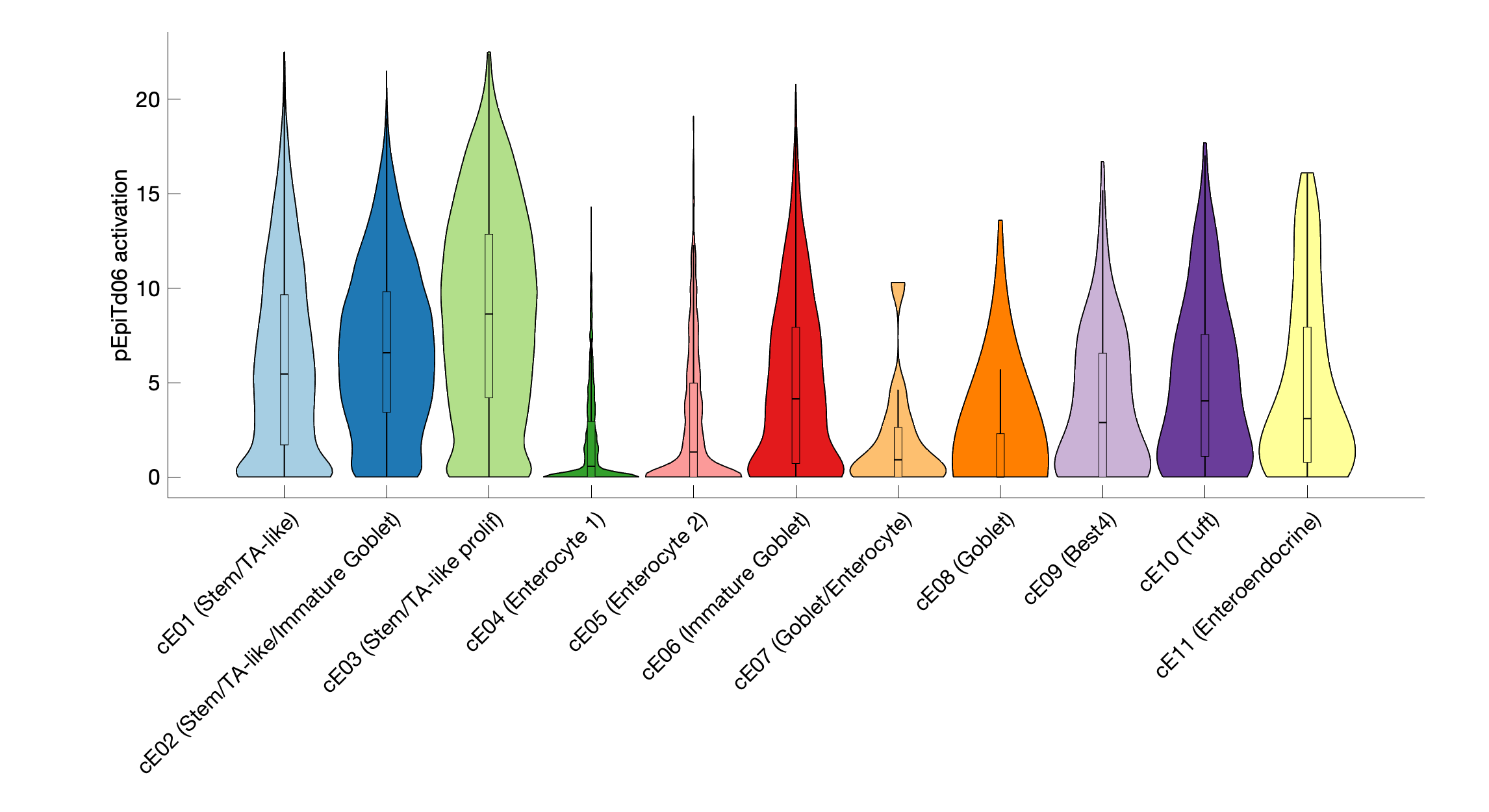 Gene program activation of pEpiTd06 by different cell subtypes