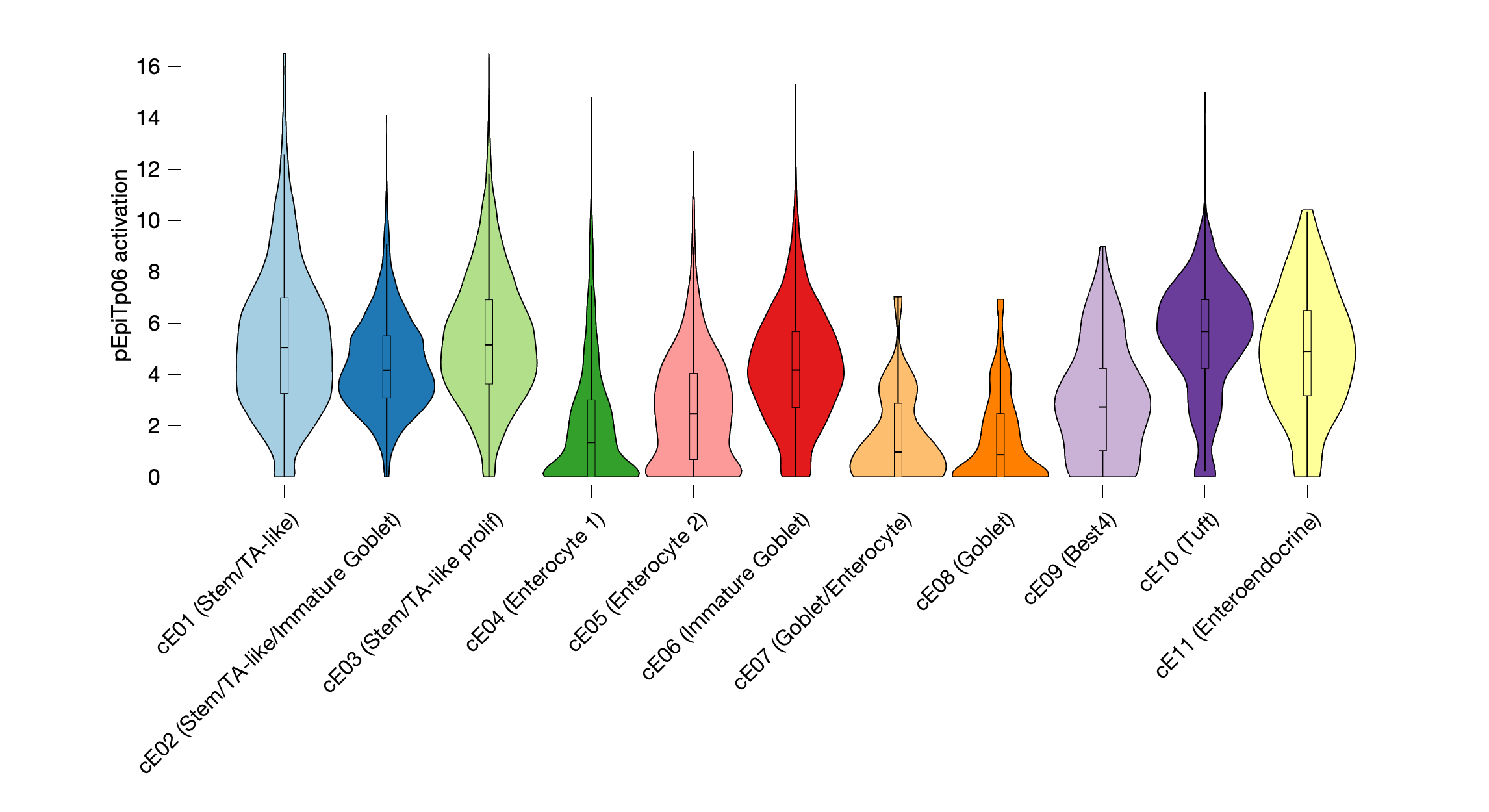 Gene program activation of pEpiTp06 by different cell subtypes