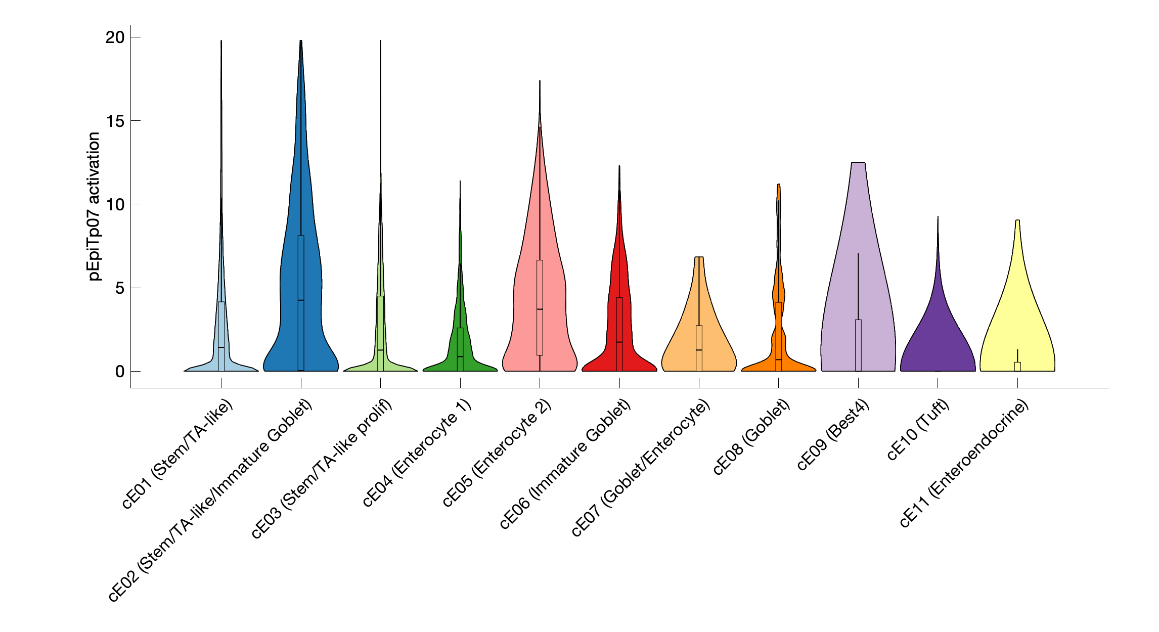 Gene program activation of pEpiTp07 by different cell subtypes