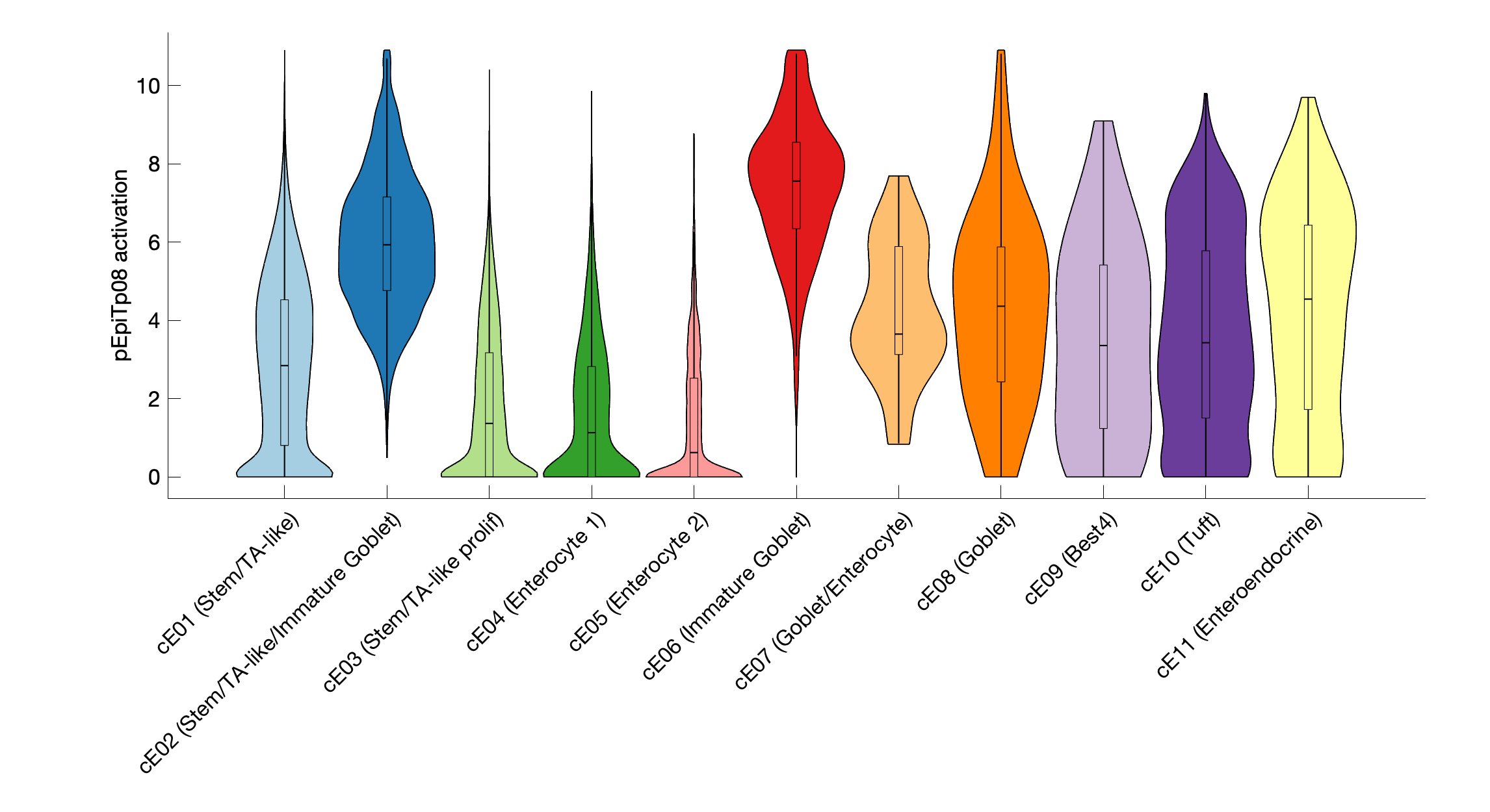 Gene program activation of pEpiTp08 by different cell subtypes