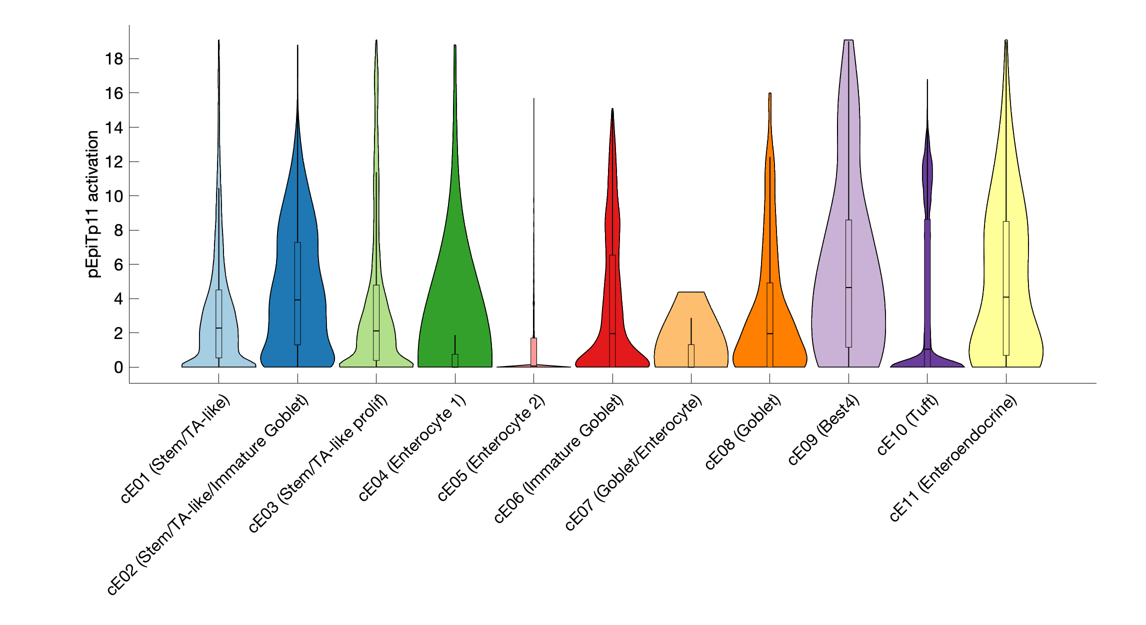 Gene program activation of pEpiTp11 by different cell subtypes