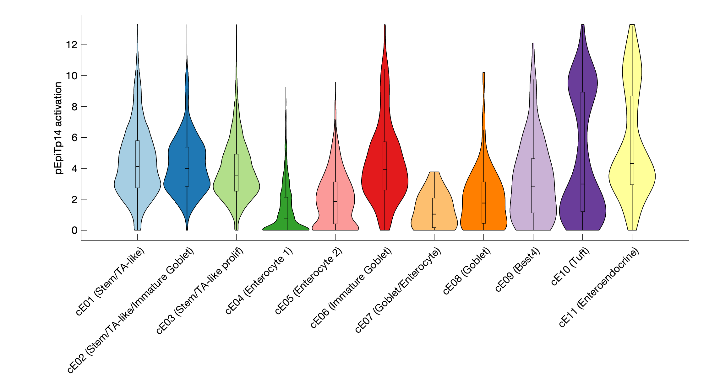 Gene program activation of pEpiTp14 by different cell subtypes