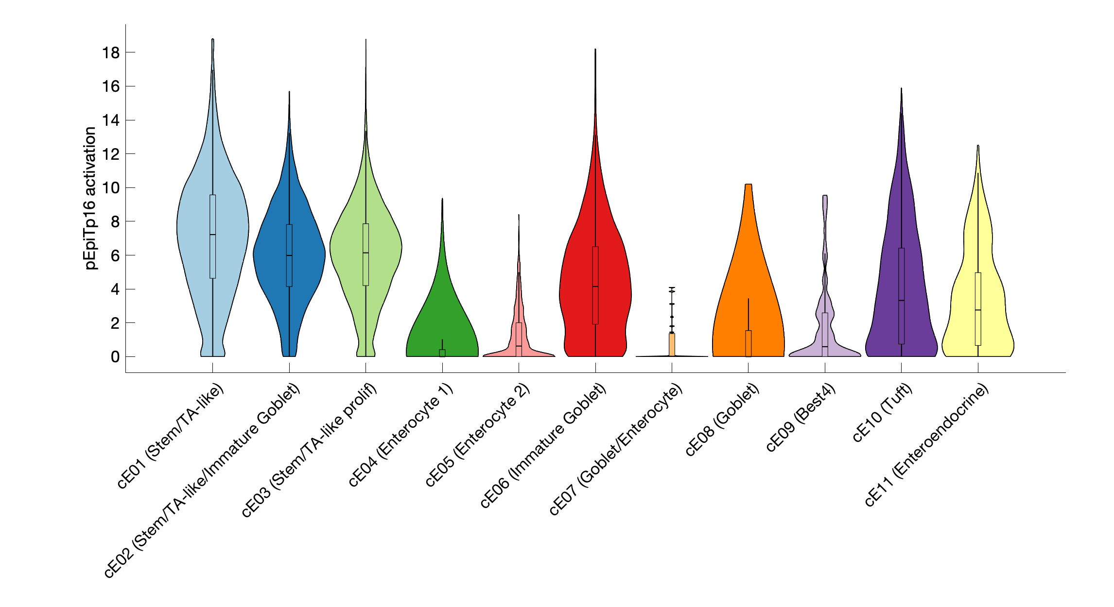 Gene program activation of pEpiTp16 by different cell subtypes