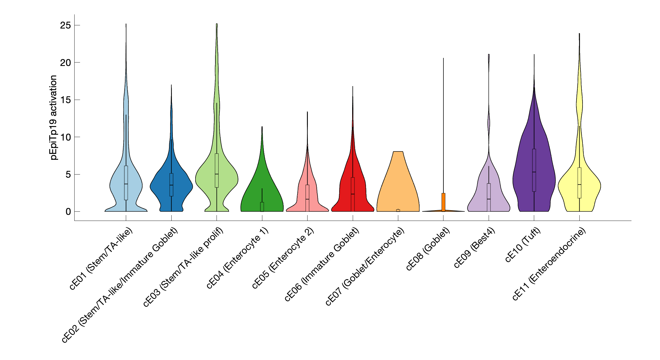 Gene program activation of pEpiTp19 by different cell subtypes