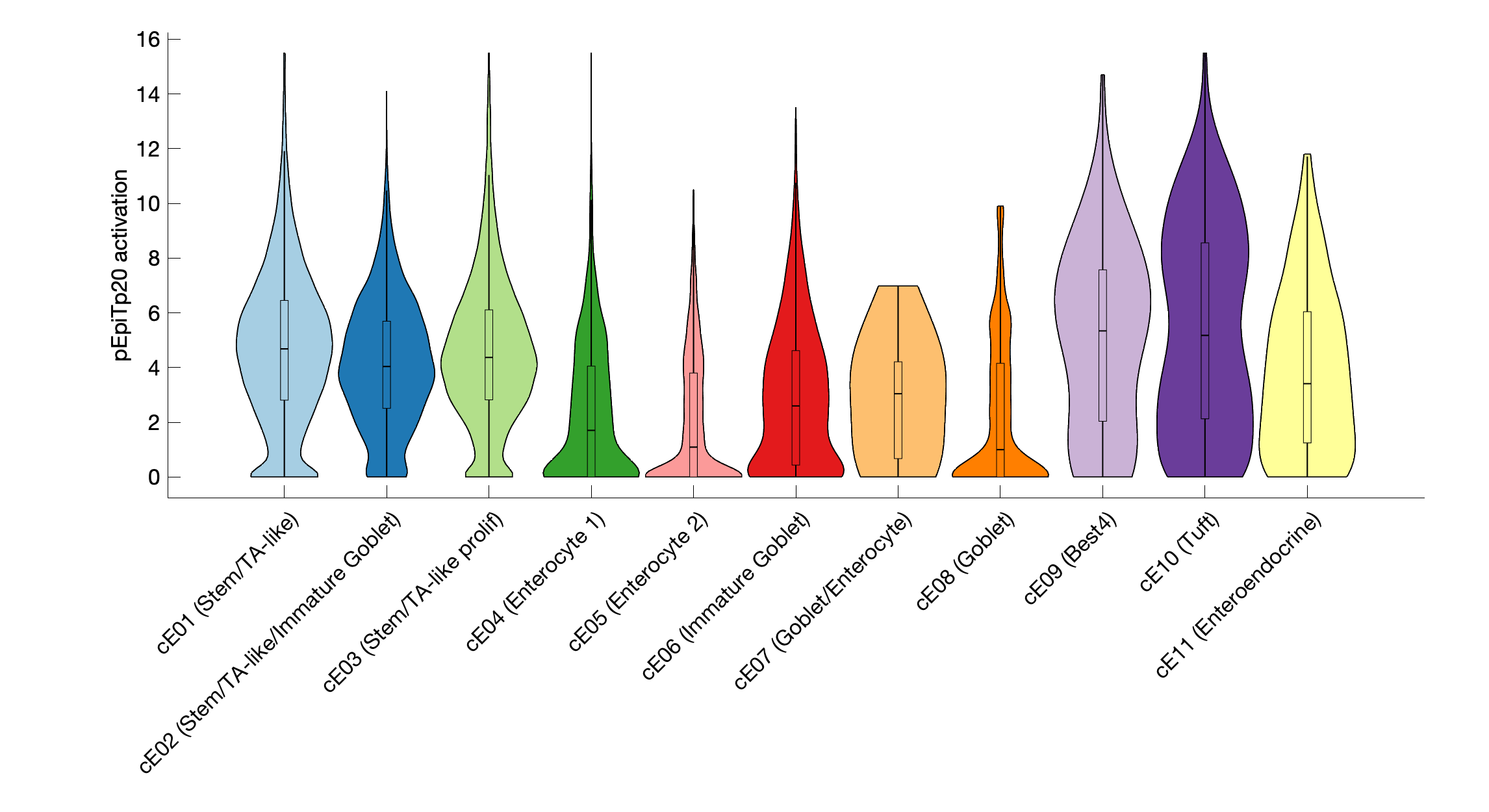 Gene program activation of pEpiTp20 by different cell subtypes