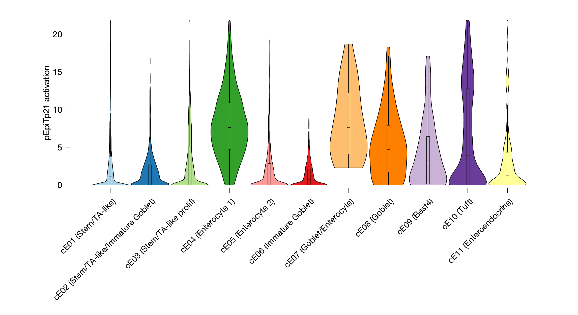 Gene program activation of pEpiTp21 by different cell subtypes