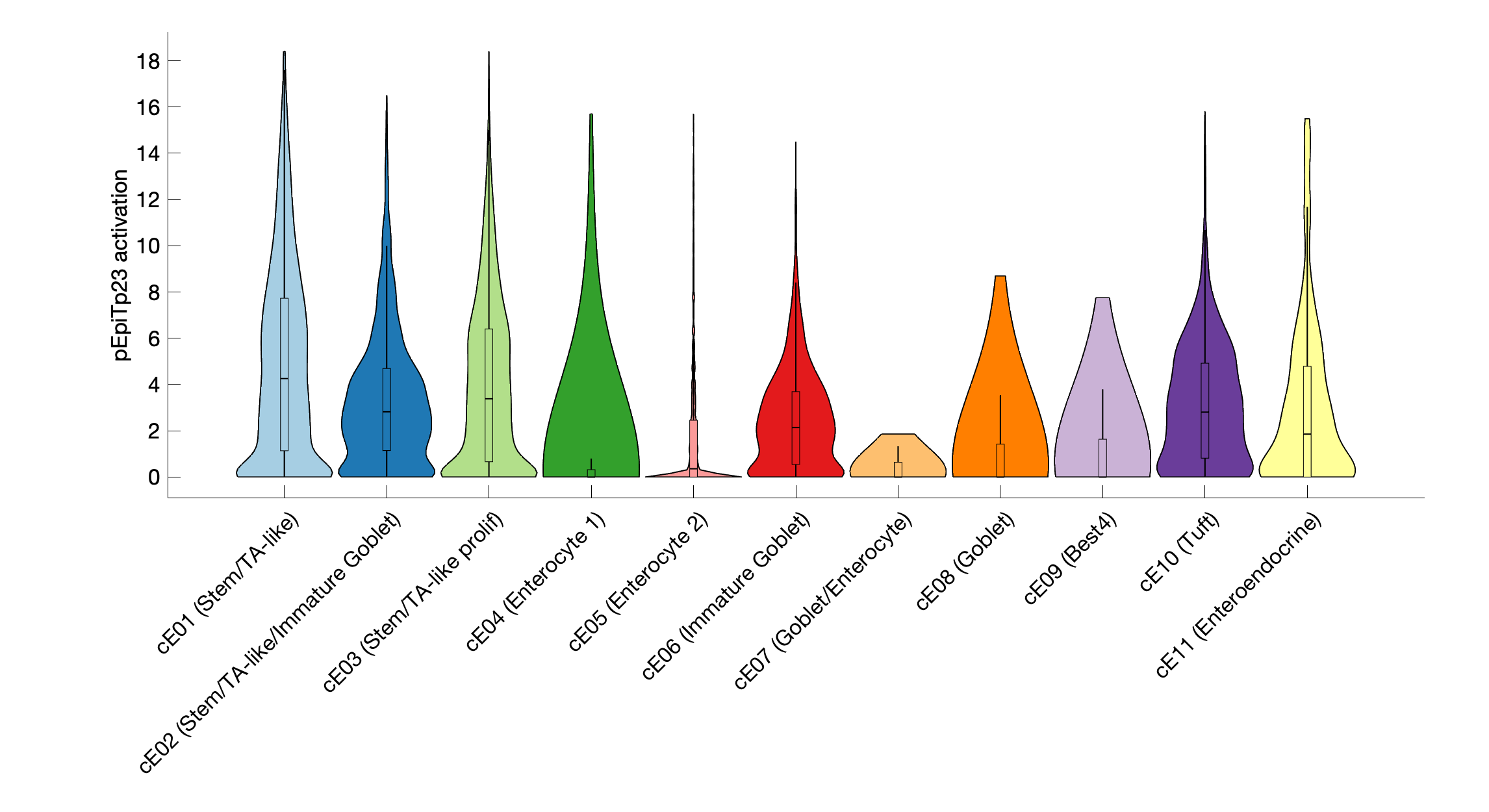 Gene program activation of pEpiTp23 by different cell subtypes