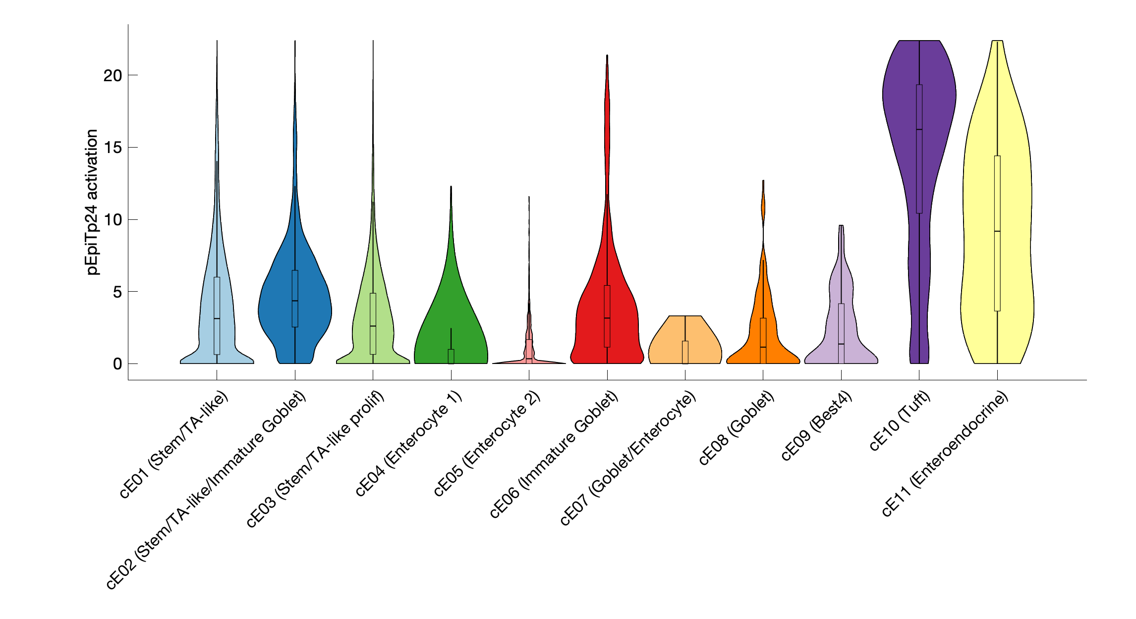 Gene program activation of pEpiTp24 by different cell subtypes