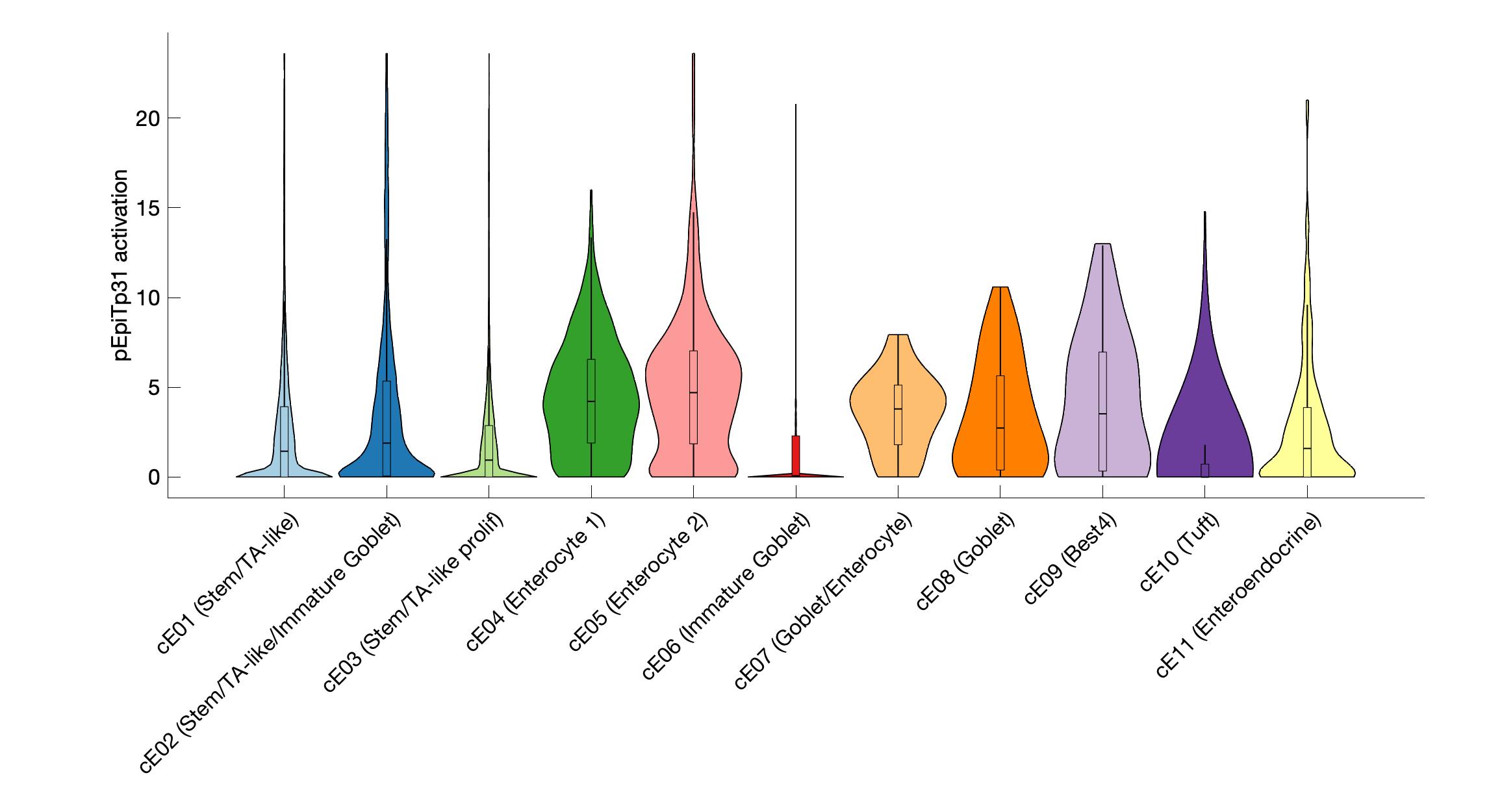 Gene program activation of pEpiTp31 by different cell subtypes