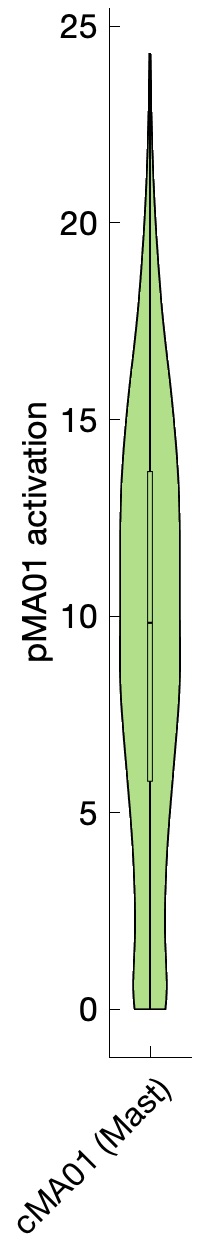 Gene program activation of pMA01 by different cell subtypes