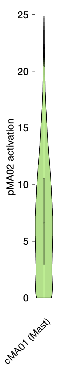 Gene program activation of pMA02 by different cell subtypes