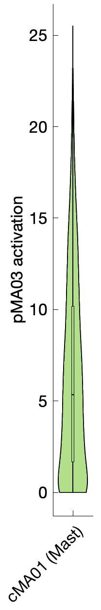 Gene program activation of pMA03 by different cell subtypes