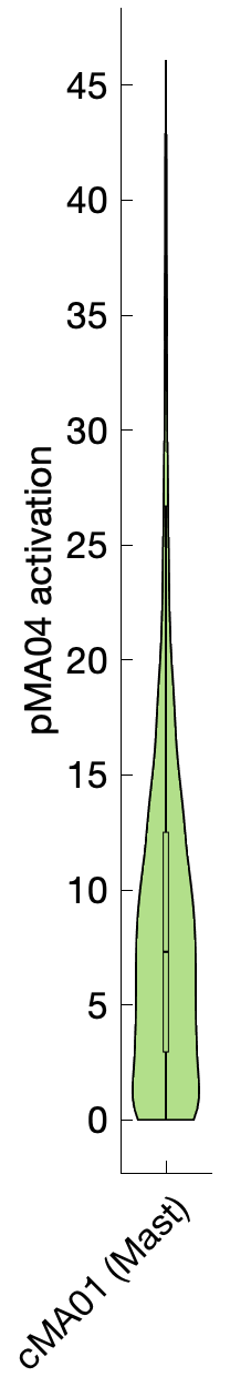 Gene program activation of pMA04 by different cell subtypes