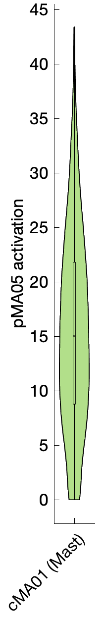 Gene program activation of pMA05 by different cell subtypes