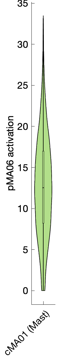 Gene program activation of pMA06 by different cell subtypes