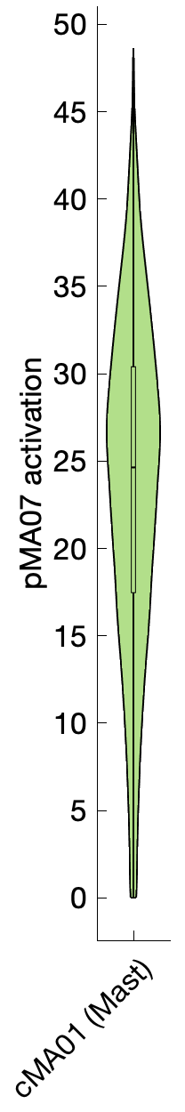 Gene program activation of pMA07 by different cell subtypes