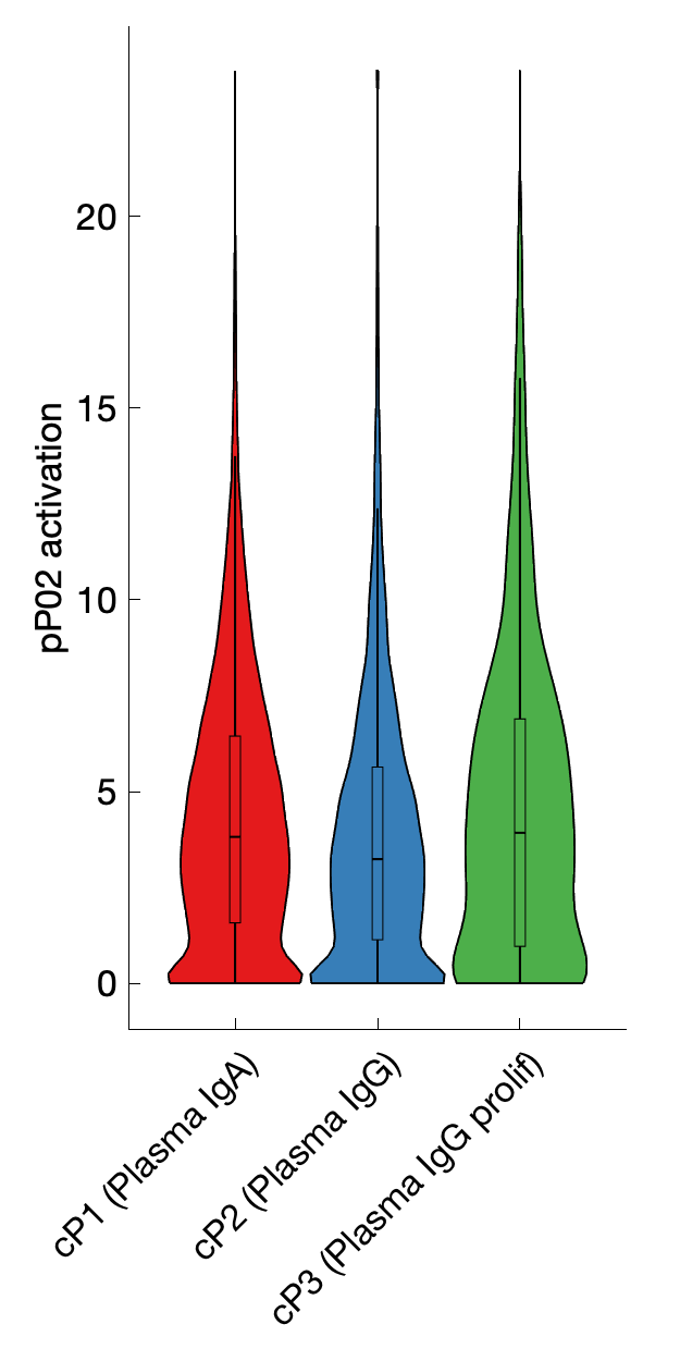 Gene program activation of pP02 by different cell subtypes