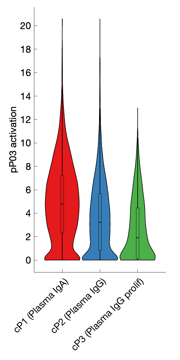 Gene program activation of pP03 by different cell subtypes