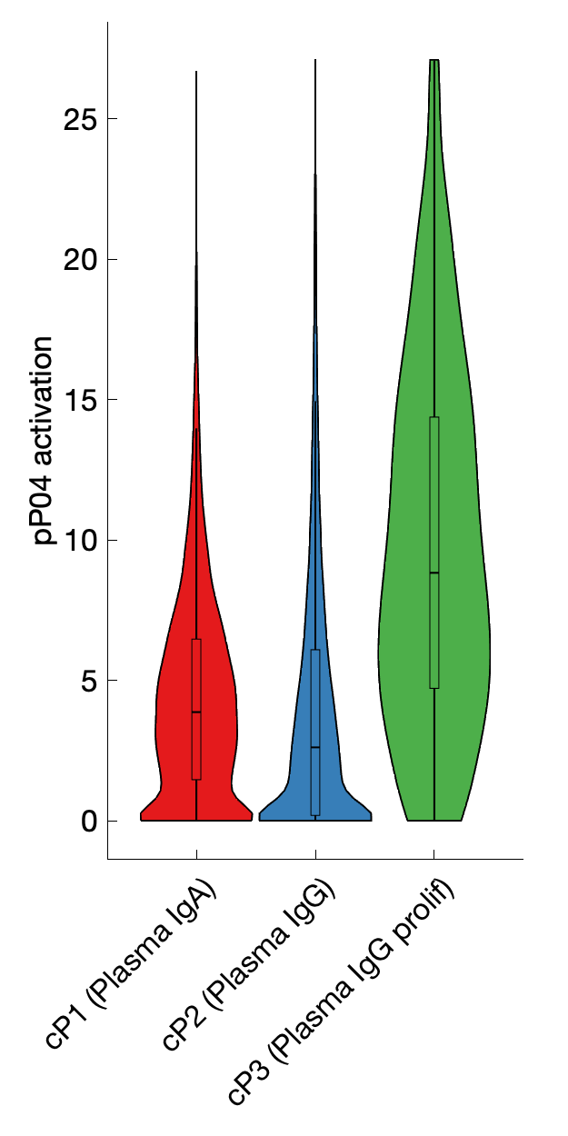 Gene program activation of pP04 by different cell subtypes