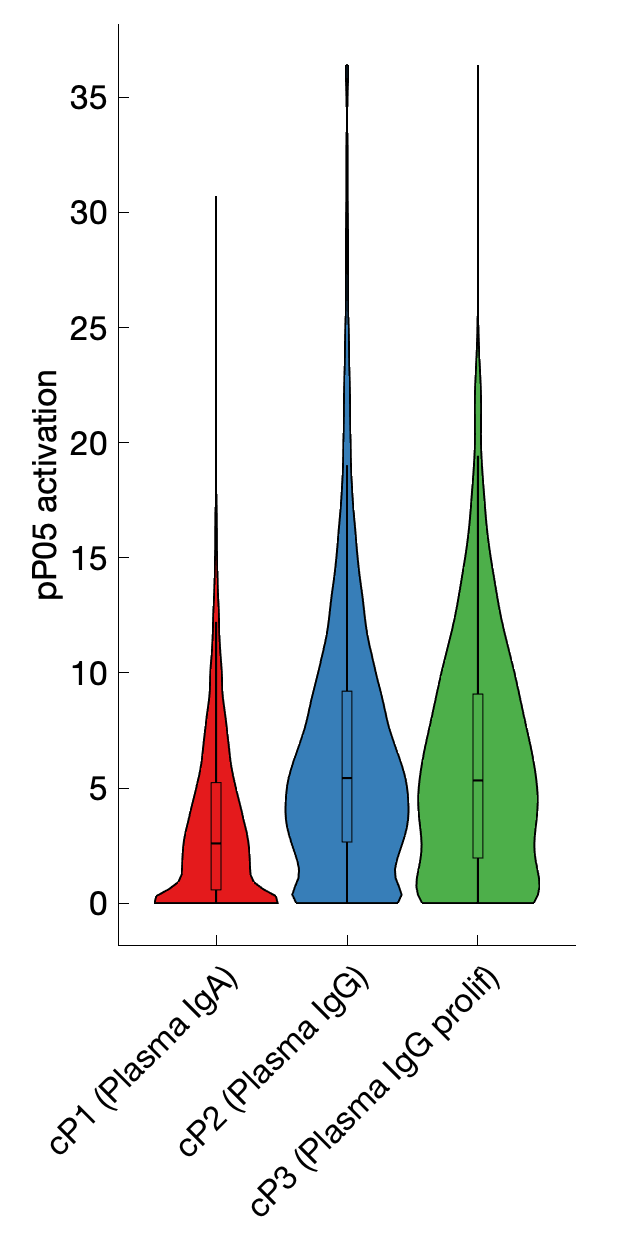 Gene program activation of pP05 by different cell subtypes