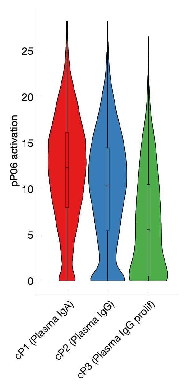 Gene program activation of pP06 by different cell subtypes