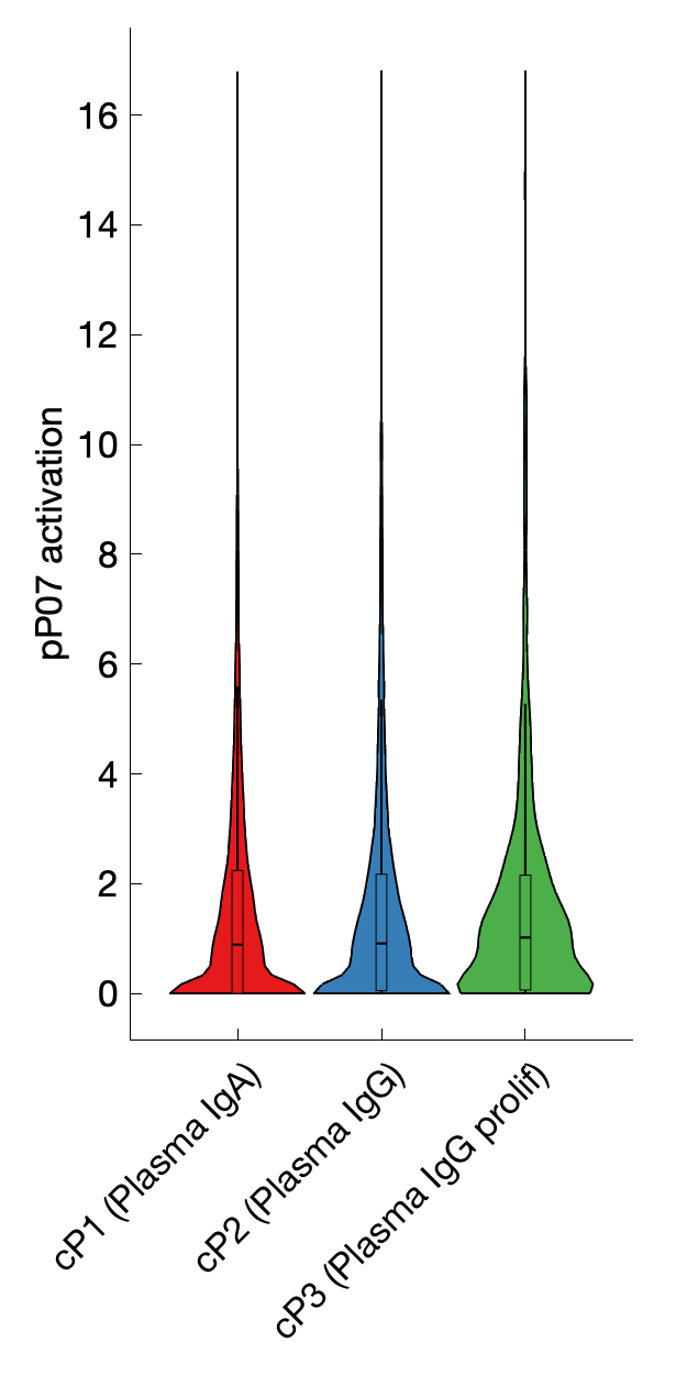 Gene program activation of pP07 by different cell subtypes