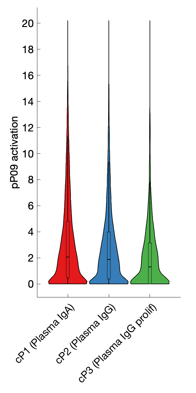 Gene program activation of pP09 by different cell subtypes