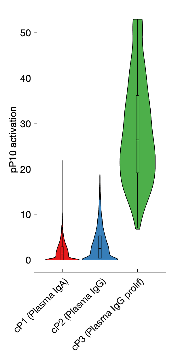 Gene program activation of pP10 by different cell subtypes